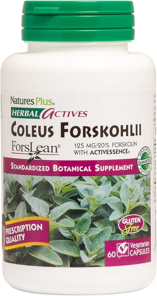 NaturesPlus Taimsed toimeained Coleus Forskohlii - 60 Taimekapslit - Gluteenivaba - 60 Servingut