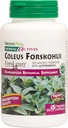 NaturesPlus 초본 활성 Coleus Forskohlii - 60 채식 캡슐 - 글루텐 무료 - 60 서빙