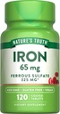 Nature 's Truth Iron Addition (Gamtos tiesos priedas) (124; 65mg Ş124; 120 tablečių (124; 325mg Ferrous Sulfate) (124; Non- GMO & Gluten Free Pills)