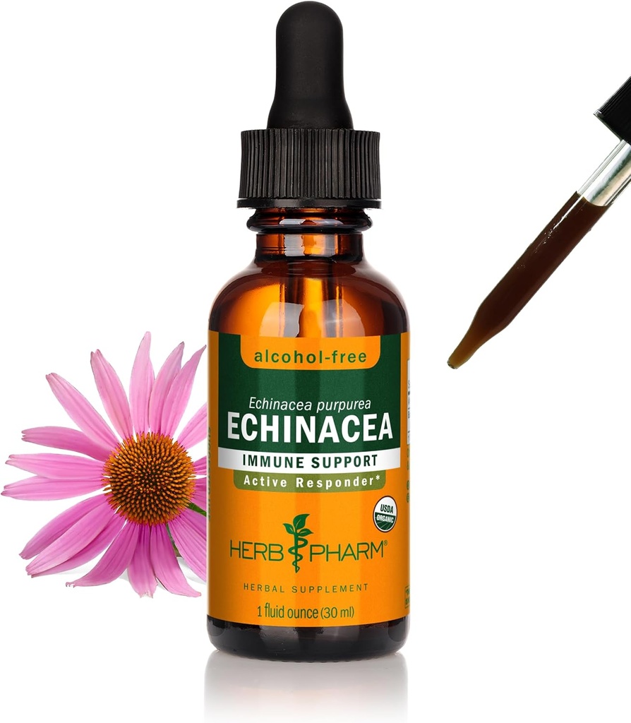 Herb Pharm Organic Echinacea Root Extract, Alkoholfrei: Immunsystem Unterstützung für alle Jahreszeiten, Fast-Acting Echinacea Pflanzenergänzung, Non-GMO, Vegan & Gluten-Free, 1 Oz