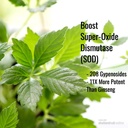 Immortalitea Gynostemma Capsules (Jiaogulan) - Whole Leaf Повний спектр - Природний Адаптоген & AMPK Активатор добавки - Veggie Capsules - 100 граф, 500mg