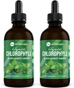 360 Nutrition Chlorophyll Liquid Drops med Peppermint Oil, GF & Vegan Body Internal Deodorant Supplement, stöder Gut Health, Digestion, Energy, Radiant Skin, Fast Absorption (4 Fl Oz (2 Count)