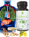 OMNIBREATHE – ātri uzlabojošas elpošanas problēmas ar NAC 600MG Zinātniski formulēti w. Quercetin/Mullein/Coq 10/Ginger/Stingring Nattle/Bromelain,3 Times w. Ēdienreizes (10 dienu piegāde Boost)