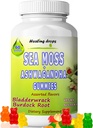 Sea Moss Gummies Ashwagandha cu Bladderwrack Brodock Root, Alkaline Keto Vegan Non-GMO Diet, Dairy and Gluten Free 