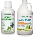 Land Art Aloe Vera Drinkable Gel - Orange Tangerine Flavored - Cold- Processed - Organic Fresh Leaves - 64floz + Liquid Chlorofil Mint - Cold Extracted from Wild None-GMO Alfalfa - 16floz
