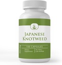 Rene originale ingredienser japanske Knotweed, (100 kapsler) alltid ren, ingen tilsetningsmidler eller fyllstoffer, Lab Verifisert