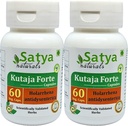 Kutaja Capsules 500 mg. 60 Veg. Capsule Kutaja (Holarrena Antidysenterica) Trích dẫn Capsules cho nam và nữ Ayurvedic Herbal / Remedies 10:1 Forte (2 bình đựng 60 Capsules)