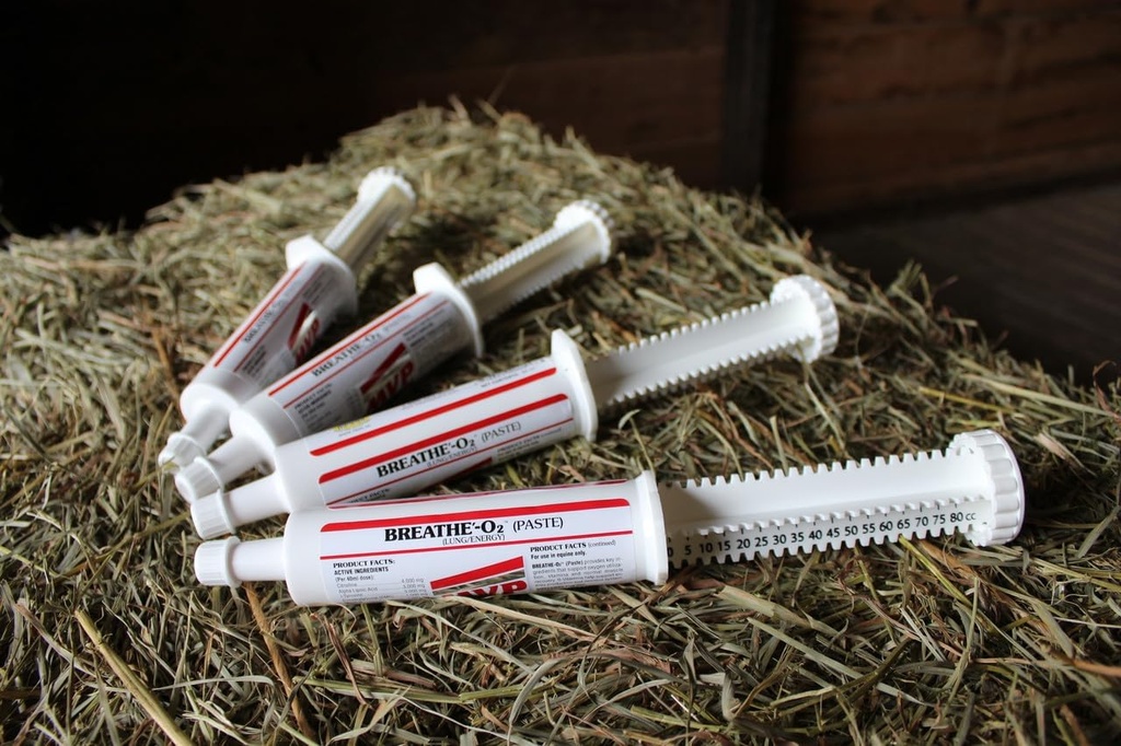 Andas O'2 4 -Pack (8 doser) Pre-Race Paste för att stödja Lung / Airway funktion i hästar