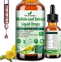 Mullein Drops til Lungs, Organic Mullein Leaf Extract for Lung Detox w. Chlorophyll Elderberry Oregano Oil Resveratrol Mullein Tincture Alkohol Free, Original Flavor, 2 f Fl / Oz