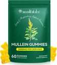 Mullein Gummies para Lung Cleanse, Mullein Natural Mullein para Lung Cleanse Support,Lung Cleanse para fumantes,Mullein Herbal Supplements com clorofila (60 mastigações)