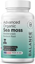 Organic Irish Sea Moss, Bladderwrack & Burdock Root Supplement 1405mg, 60 Veg Kapsle - imunitní booster, Gut Health, Skin Detox & Joint Support (60 Počet balení po 1)