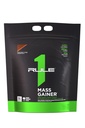 Rule 1 Proteins Mass Gainer - High-Calorie Weight Gain Formula with 1,220+ Calories, 250g+ Complex Carb Blend, 40g All-Whey Protein Per Serving (16 Servings, Chocolate Fudge)