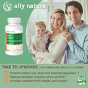 Vegan Prenatal DHA 440mg – Lutein 20mg For Pregnancy – Non-GMO Prenatal Multivitamin For Pregnant Women- Support Healthy Brain, Eye and Heart In Baby’s Development - 60 Softgels