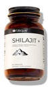 Blisque – Pure Himalayan Organic Shilajit Resin Extract Capsules | Authentic and Natural | Golden Grade A | Contains Fulvic Acid and Trace Minerals | 90 Capsules