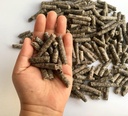 Smart Beet pellets for etetés - Ló, Pony, Kecske, Szarvasmarha takarmány - Jó az agy egészségének és a természetes édesítő (12 uncia)