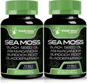 Irish Sea Moss Capsules, 17-in-1, Seamoss Black Seed Oil, 240 Count, Ashwagandha Burdock Root Organic Bladderwrack Capsules, 