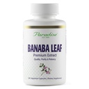 Paradise Herbs, Banaba Leaf, 12:1 Concentrated Extract, 250 mg, Vegan, Gluten-Free, Non-GMO, 180 Capsules