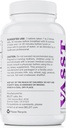 BELDT Labs VASST Nitric Oxide Booster, N.O. Доплащане с над 3,000 mg Arginine-AKG, OKG, GKG и L-Arginine HCL за мускулна сграда и повишена съдова способност - 90 таблетки