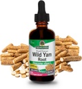 NAture's cavab Wild Yam