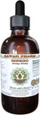 Ginkgo Alcohol- Free Liquid Extract, Organic Ginkgo (Ginkgo Biloba) Sušený Leaf Glycerite Hawaii Pharm Natural Herbal Dodatek 4 oz