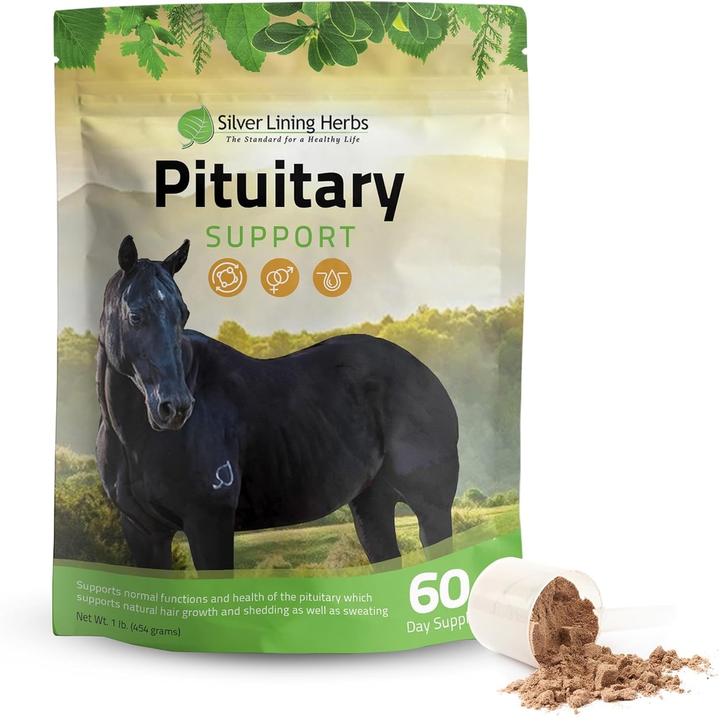 Silver Linping Herbs Pituitary Gland suplementaris per als cavalls - Cavall suplementaris per a la implementació d'Equine Metabolic, Cixing Yergy, Sheding & Shedingsings - Raued i Energy Cavall suplementari - 1 lb 60-Dayy