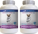 Digestive Nutritional Supplements - PROBIOTICS for Dogs - Healthy Gut - Stop Gas Diarrhea and Bad Breath - Digestive Boost - Dog probiotics for Bad Breath - 2 Bottles (120 Treats)