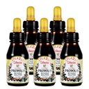 Official Distributor - 5 Bottles of Apiario Silvestre Brazilian Green Bee Propolis Liquid Glycolic Extract-Non Alcoholic, Wax Free, Sugar Free (PG)