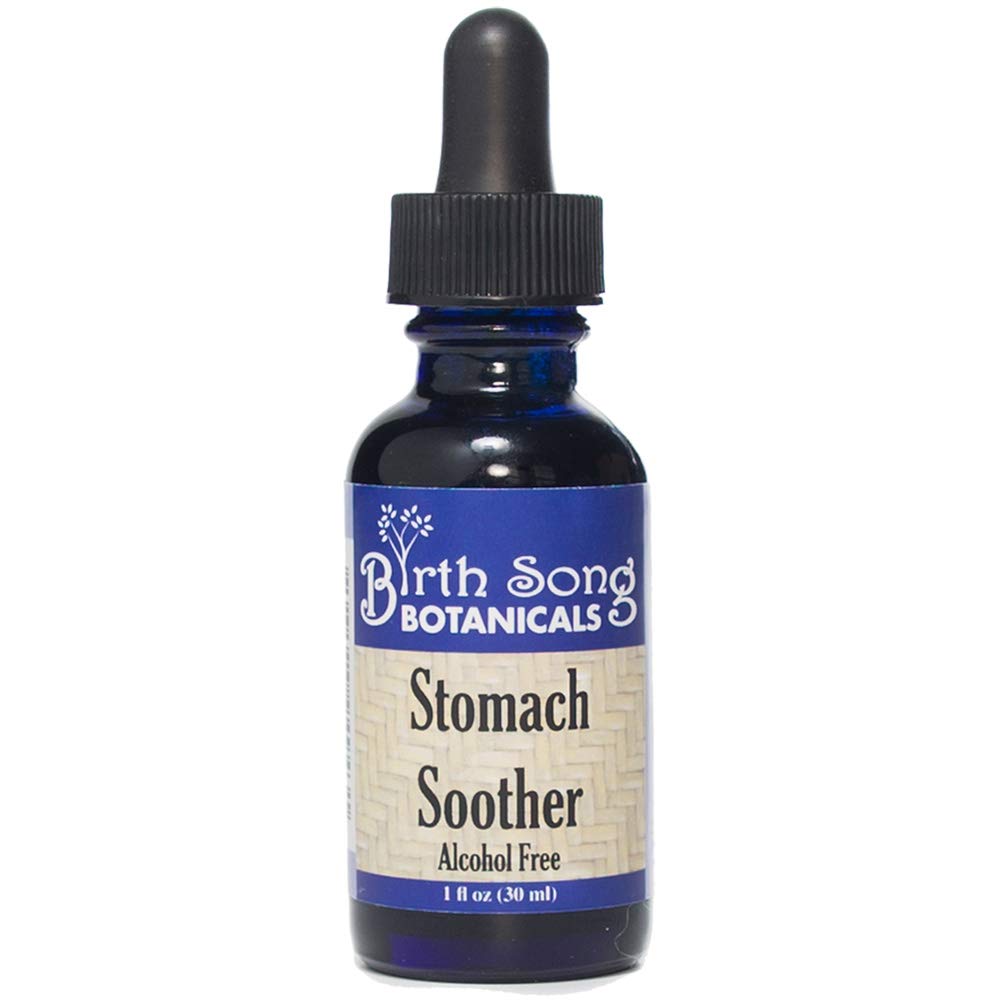 Birth Song Botanicals Stomach Soother Tincture – Herbal Digestion Support Supplement for Upset Stomach & Motion Sickness – Herbal Digestive Aid Supplement, Alcohol‑Free, 1 oz