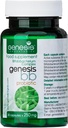 Genesis LABRIES Probiotic suplementari amb l' espoli Bifídobacterium. 250 mg 30 Capules Imne support Gut Salut Probiotics per a la salut Digest contra els homes i les dones Gutbios