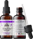 Skellcap Tincture, extracció Organic Skullellcap, gotas Skullellcap (Scutellaria posteriorment) Dred Herb 2 0z (60 ml)