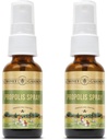 Honey Gardens Bee Propolis Throat Spray 124; with Apitherapy Raw Honey, Licorice Root i Usnea Nex124; 50 Sług Nex124; 1 Fl Oz Nex124; Pack of 2