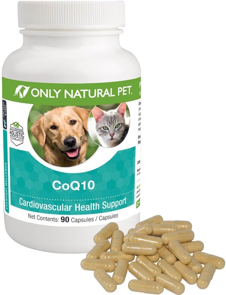 Seules les capsules naturelles CoQ10 pour chiens et chats – Coenzyme Q10 Supplément Ubiquinone – Aide à maintenir la vitalité, l'énergie et le bien-être général – 90 Compte