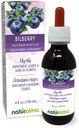 Naturalma Bilberry 또는 유럽 블루 베리 (Vaccinium myrtillus) 과일 알코올 - 무료 Tincture - 드롭 4 fl oz 액체 추출물 - 초본 보충 - Vegan