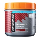 Gatorade Endurance Formula Powder, Kirsikka, 32