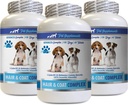 Anti-infiammatorio per cani - Dog Hair and Coat Complex - Itch Relief - Supporto Immune - Vitamine e Minerali - Supplemento Dog Vitamin e 3 Bottiglie (180 Trattati)