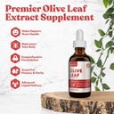 Rejuvica Active Olive Leaf Extract | Naturligtvis förekommer Oleuropein Liquid Drops för Immune & Heart Support | Fast-Absorption, Vegan, Alkoholfri | 4 fl oz
