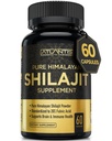 Atlantis Nutrition Himalayan Shilajit Capsules Formulated with 20% Fulvic Acid | 1000MG Per Serving — 10:1 Extract | USA Made | Himalayan Shilajit Supplement for Men & Women | 60 Capsules