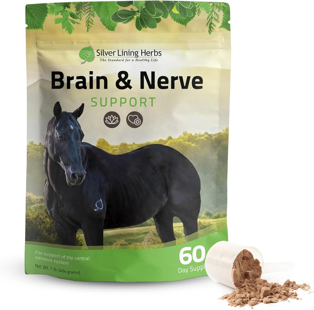 Silver Lining Herbs Brain & Nerve Support Supplement för hästar - Hästtillskott för fokus, mental hälsa och hjärnstöd - Innehåller Herbal Blend av Ginkgo, Gotu Kola och mer - 1 lb 60-dagars leverans