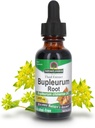 Naturens svar Bupleurum Root Bupleurum Chiense - Naturlig Herbal Supplement - Glutenalkoholfri - Ideell for lever immunitet generelt helse velvære - 1000mg (1 FL Oz)