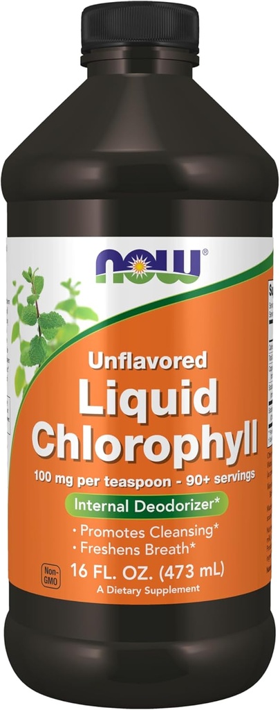 JETZT Nahrungsergänzungsmittel, entflammte Chlorophyllflüssigkeit, 100 mg pro Teelöffel, 16 fl. oz.