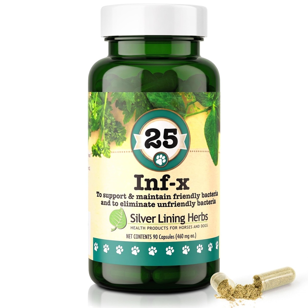 25 Canine INF-X - Helps Maintain Healthy Digestion Levels - Natural Support for Normal Detoxification Process - Herbal Health Supplement for Dogs - 90 Capsules