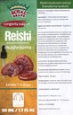 Reishi 버섯 보충교재/우리의 Reishi 버섯 추출물은 Longevity/Reishi 버섯 Tincture - 50ml/1.7 Fl Oz를 승진시킵니다