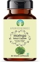 Moringa Extract 500mg - 60 vegetarische Kapseln | Moringa Oleifera | Alle natürlichen | 100% Vegan | Glutenfrei | GMP zertifiziert.