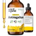 Wild & Organic Astragalus Root Extract Drops - Immune Support - Liquid Astragalus Supplement - Add to Tea & Mix with Powder - Membranaceus Herb - Vegan, Sugar & Alcohol-Free Tincture - 4 fl oz