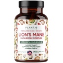 Plant.O Premium Lion's Mane Supplement, All Natural Nootropics Brain Supplement, 5 Mushroom Complex – Lion’s Mane, Reishi, Chaga, Maitake, Shiitake for Immunity, Focus, Mood & Memory Boost, 90 Caps