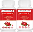 Liposominis Urolithin Priedas 2000MG energijai 120 kapsulių
