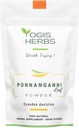 YOGIS HERBS Ponnanganni Leaf Powder (Sessile joyweed) – Holistic Health Supplement for Eye, Skin, Bone and Immune Wellness | Natural Detox Aid -100 GMS (3,5 oz)