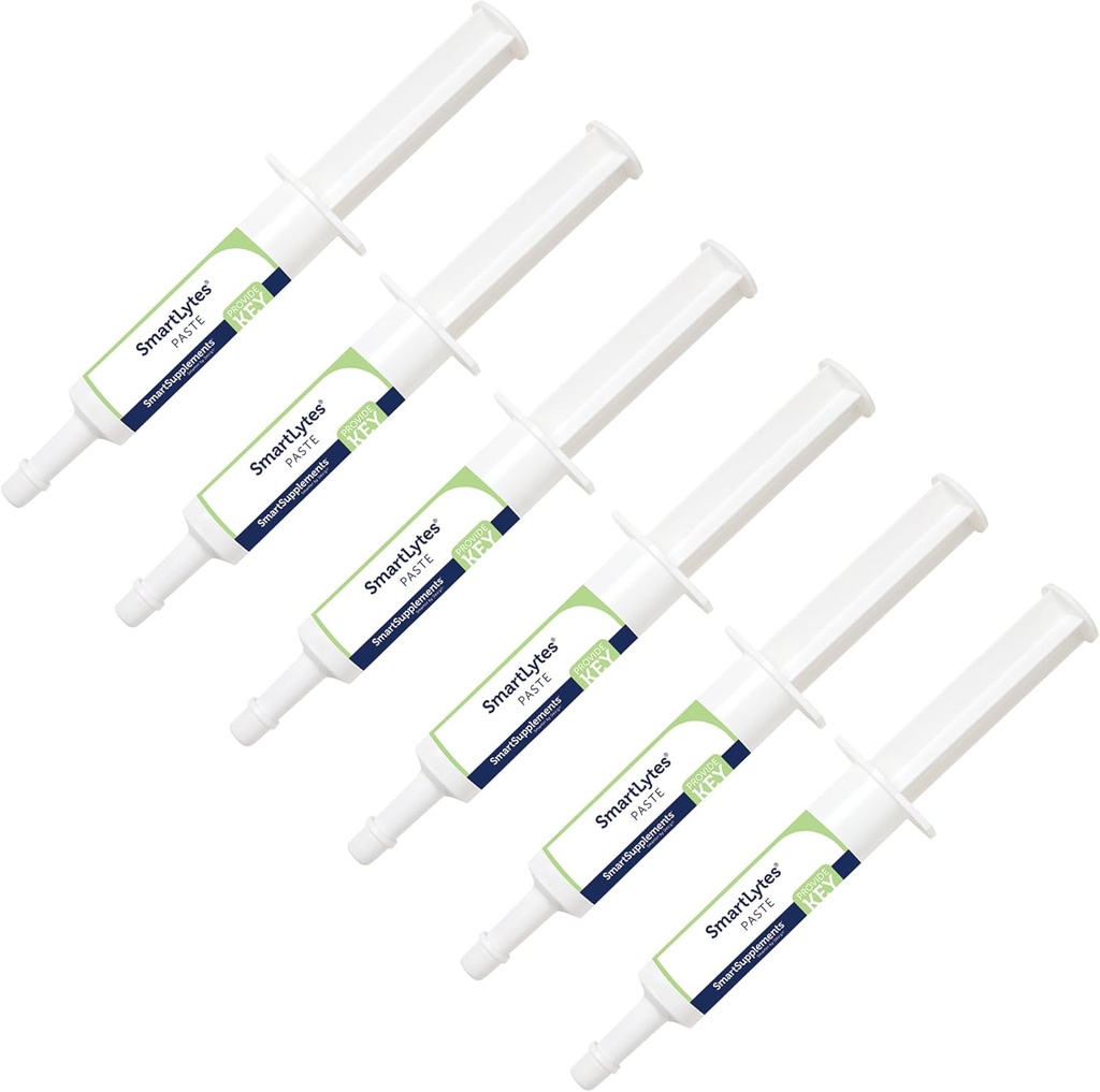 SmartLytes ペースト ホース 電解液 ペースト | 乳液 | 電解液を補充 | 砂糖を添加 | アップルバナナ 風味 | 6 チューブのパック