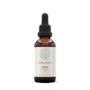 Gotu Kola B60 Tincture Alcohol-Free Herbal Extract, Concentrated Liquid Drops Natural Gotu Kola (Centella Asiatica) 2 fl oz
