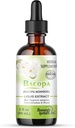 Bacopa deixa caure - Improves Concentració de memòria, Focus - Bacopa Mnnitri Extraï el cervell de la memòria Apèn suplementariment Cognitive víeu Herbaledy 2.0 fl ozum - Bénesshebs reus d'Estats Units.